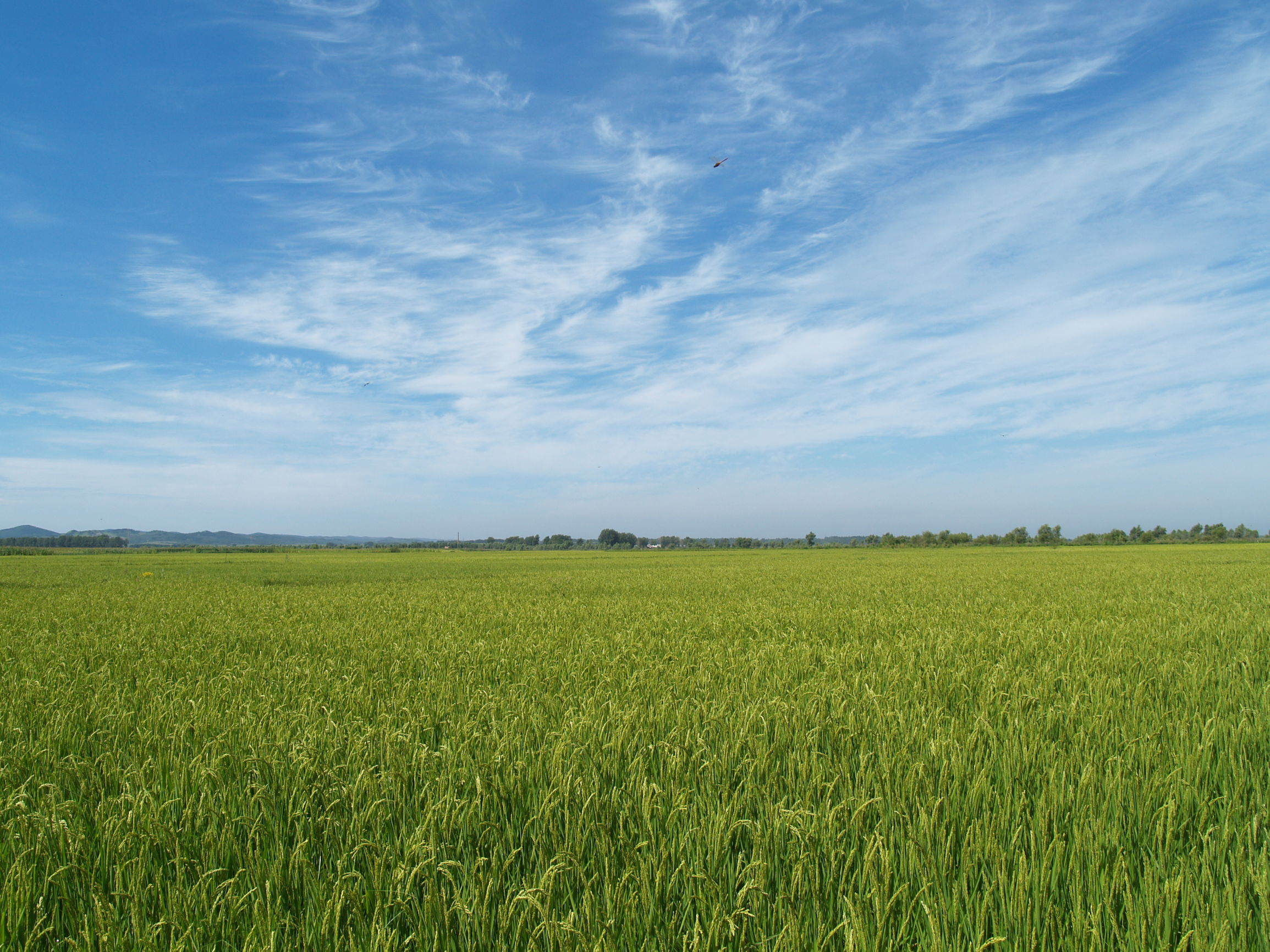 道德经妙解导读与分享,道德经解读大全经典版