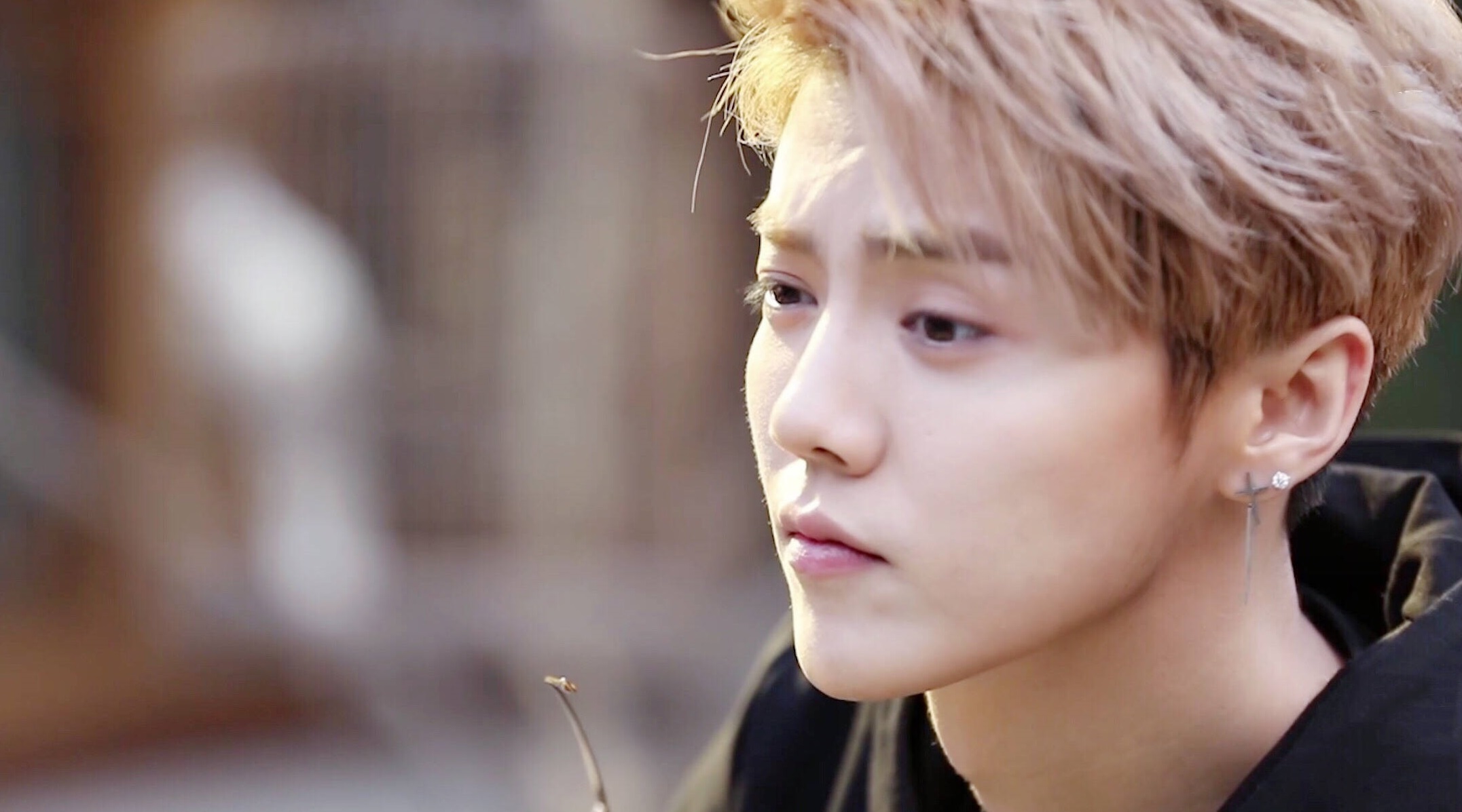 鹿晗对热巴和乔欣态度,鹿晗看热巴和乔欣跳舞