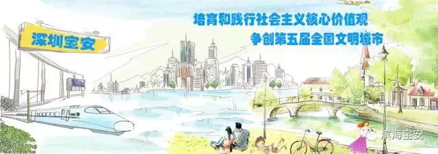 松岗体育馆在哪个位置,松岗体育中心地址在哪里