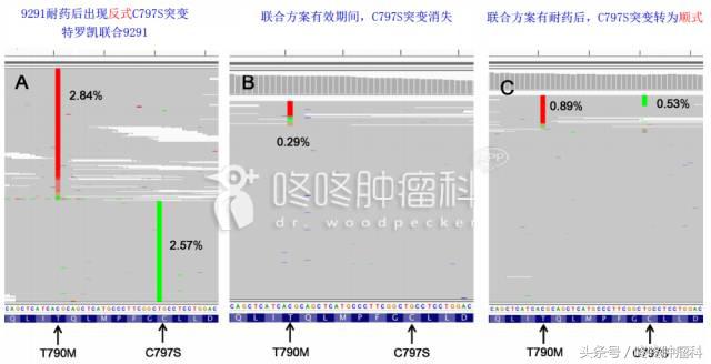 吴一龙pd1单抗免疫治疗,吴一龙谈靶向治疗最新消息