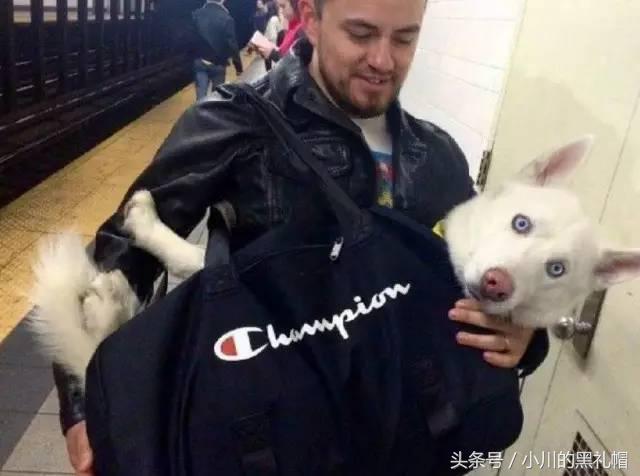 包包帆布包高级感,既可以背又可以提的帆布包