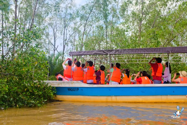 探寻野生动物,野生长鼻猴