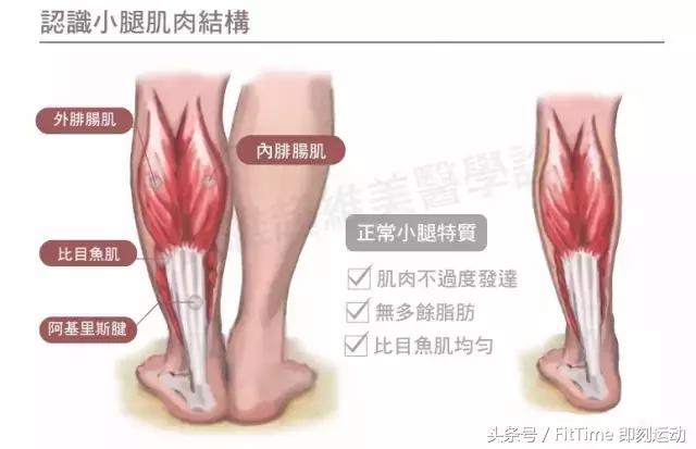 有什么瘦小腿的方法,你们要怎么才能瘦下来