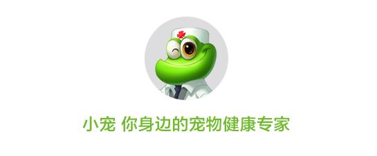 狗妈妈坐月子需注意什么,狗妈产后抑郁怎么办