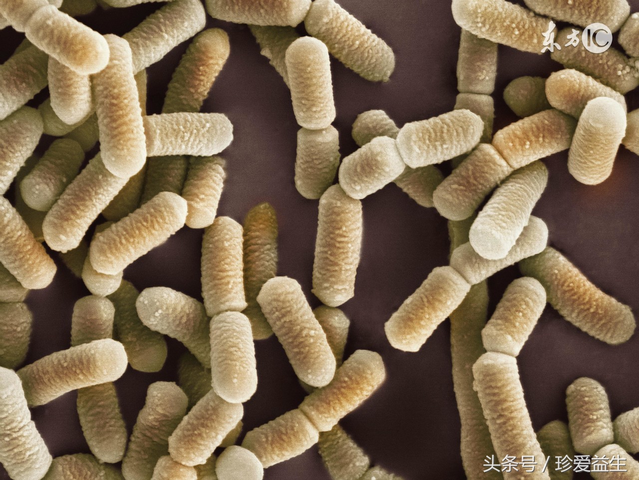 孤独症的父母看过来，这招有望治好自闭症！