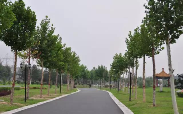 山东济宁中国邹城,山东济宁邹城市几个区