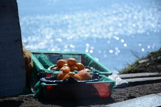 到了韩国才发现，以前的“韩流印象”都是骗人的!