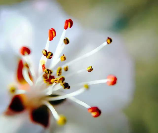 CMPA|2016年3月7日编辑推荐作品