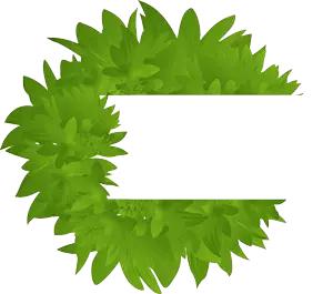 六安最新“野菜宝典”7种野菜，13种时令蔬菜，你都认识吗？