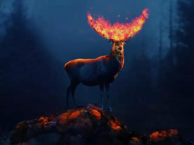 不会制作ppt别担心,初学者不会做ppt