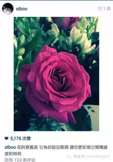 情感危机邓丽欣,谈了十年恋爱男方迟迟不肯结婚