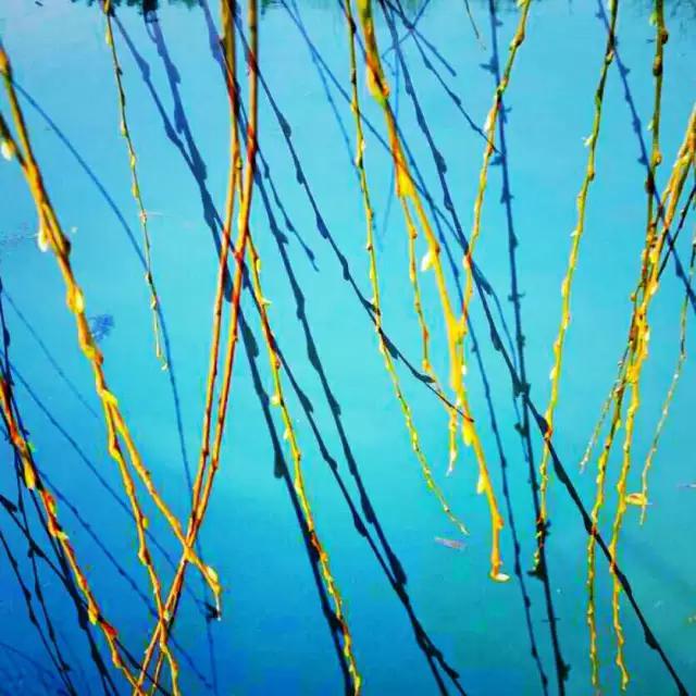 cmpa手机摄影欣赏,cmpa东莞坎普