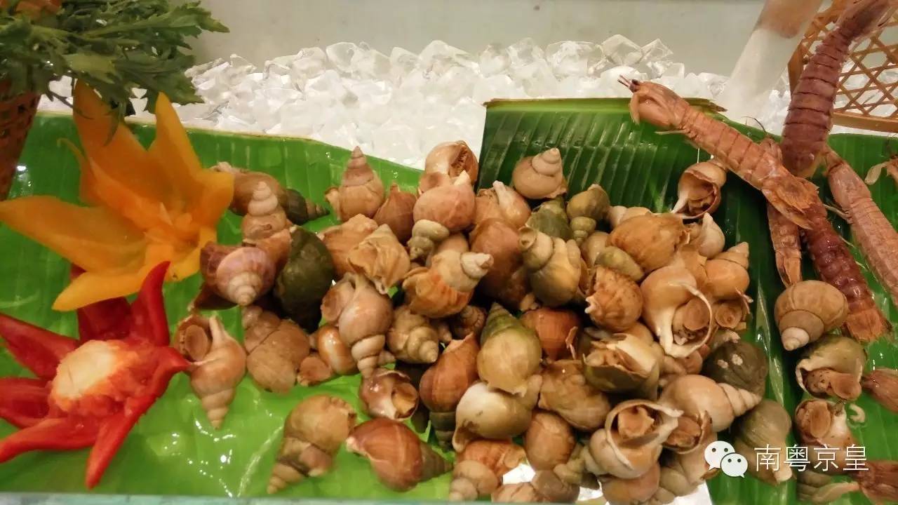 自由自在跨境商品体验店,自由自在跨境购