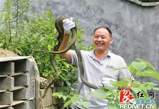 田斌初:痴心养“蛇”走上“致富路”