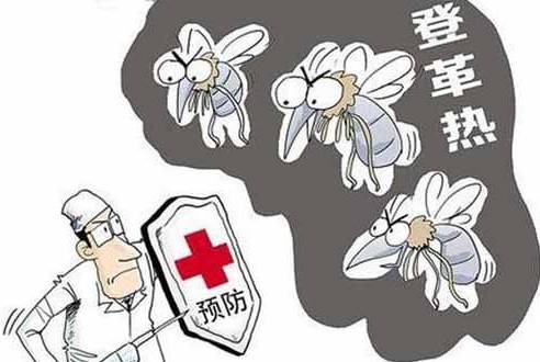 登革热一般出现在几月份,登革热什么时候结束