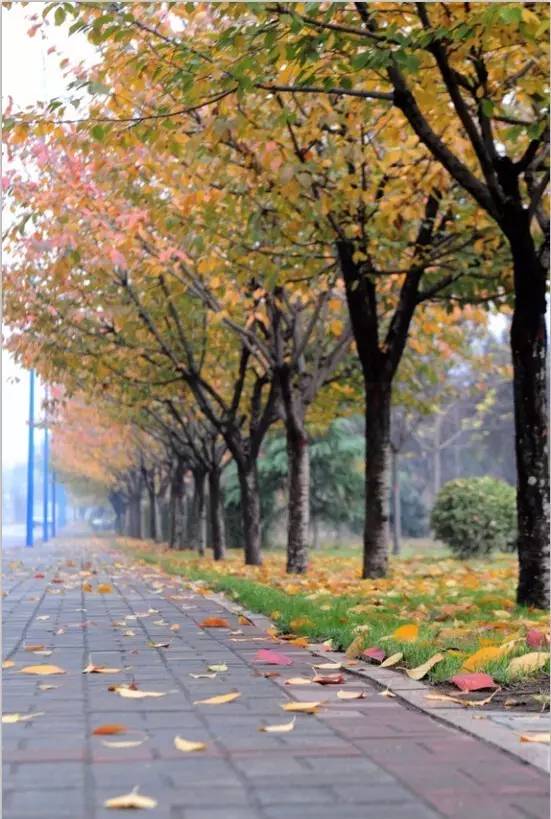 离开了本地就找不到的东西,西外美女最多的地方