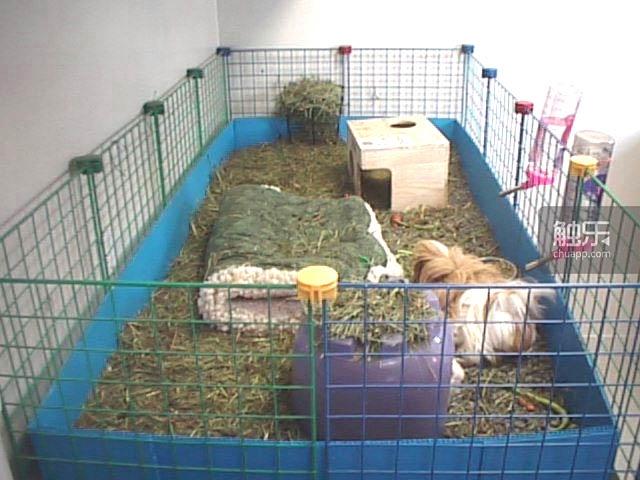 星露谷物语发生了什么事,星露谷物语第一次被嫌弃