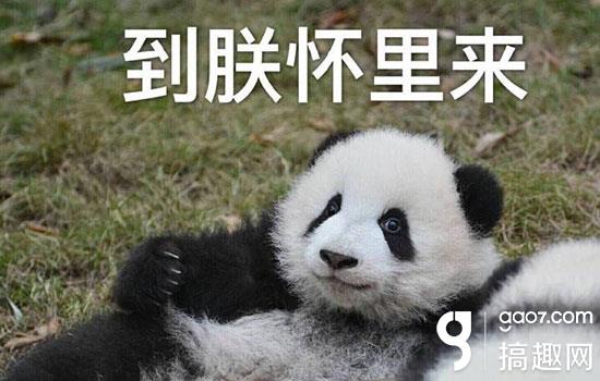 搞趣网,搞趣网络