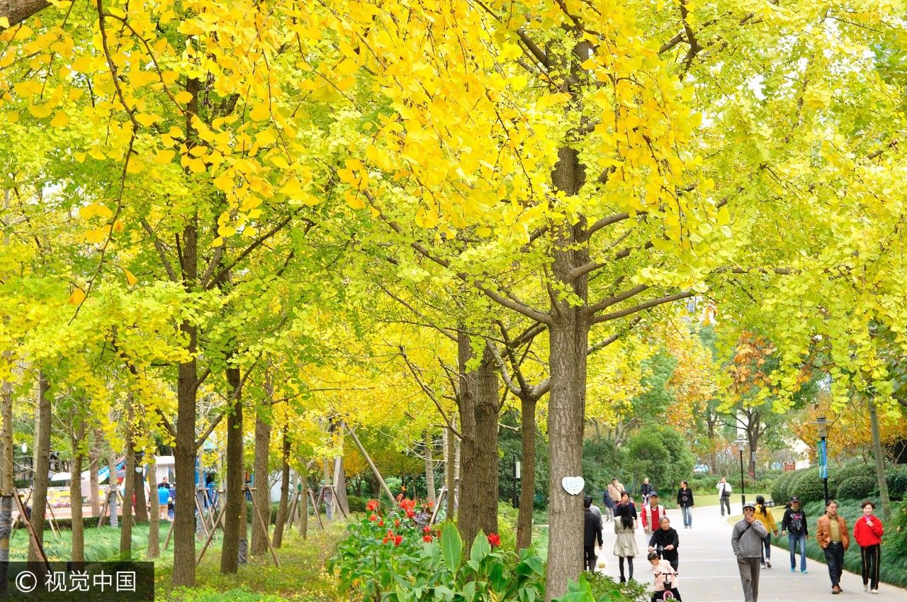 上海附近的免费凉快的地方,上海哪里可以免费乘凉