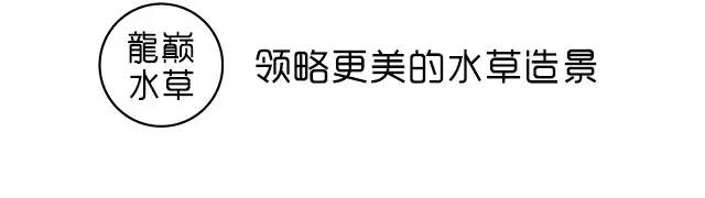 旅游时看到山川河流的感悟,旅游途中看到的景物