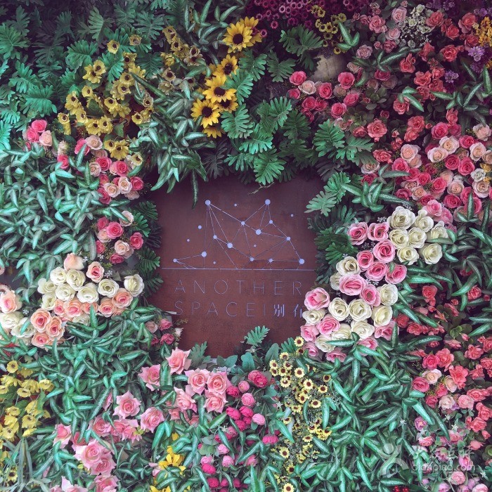 不要随便提甜品店，我怕克制不住拍照的欲望！