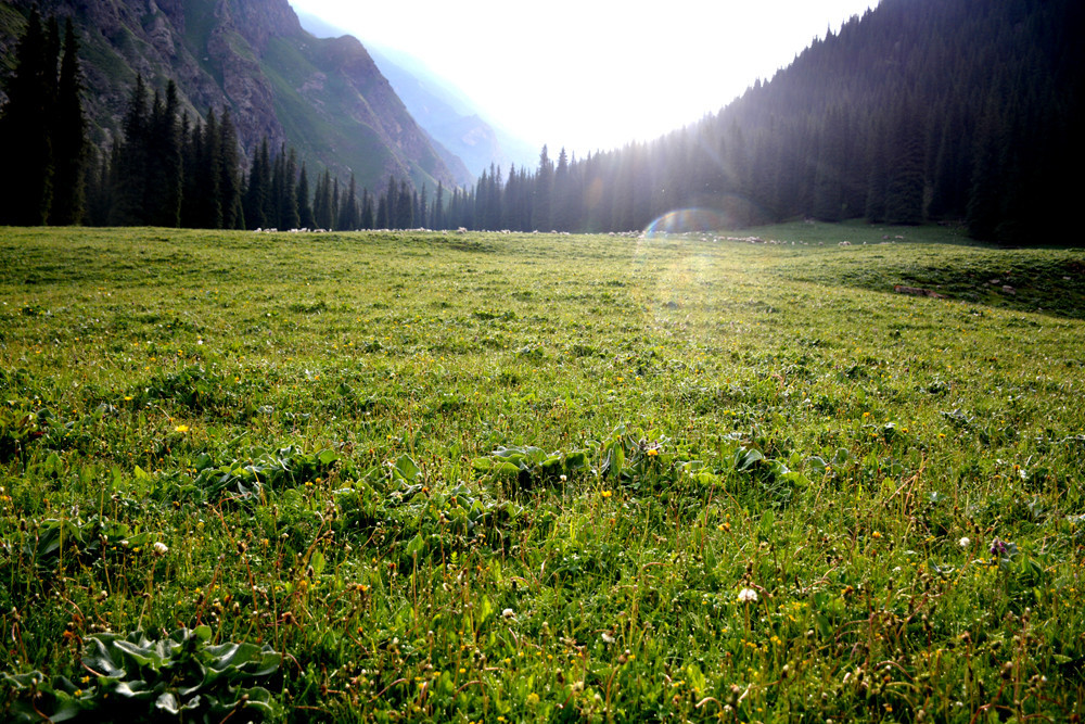 行者无疆-6月乌孙，漂洋过海为圣湖，翻山越岭因初心
