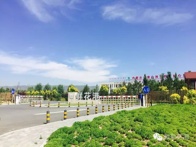 呼和浩特避暑旅游,呼和浩特周边避暑一日游