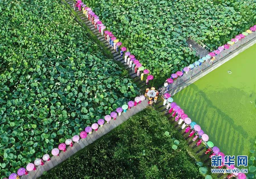 ac米兰青少年足球队,ac米兰体彩今年开过几次单关