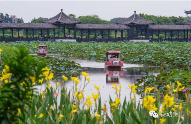 你好，我叫佛山，这是我的新名片！