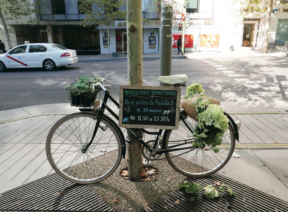 购物|累死在马德里,女人们很甘愿