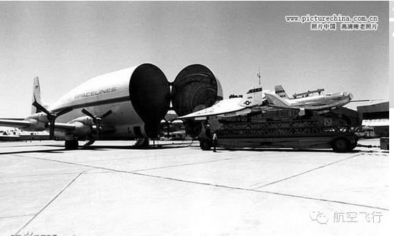 变异变形飞机,变异飞机鹦鹉