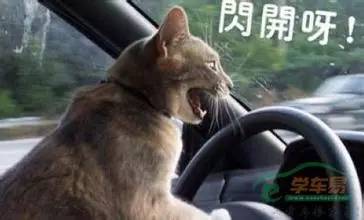 长沙驾校7月排名最新版,长沙驾校通过率排行榜