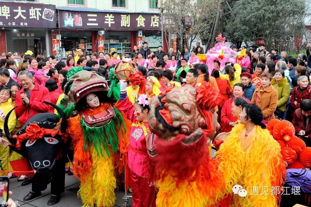 走去新丰骑车赏红枫泡温泉品美食,走温江田园去观赏美好生活