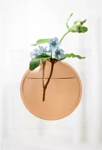 氧气花瓶,空气感的花瓶图片大全