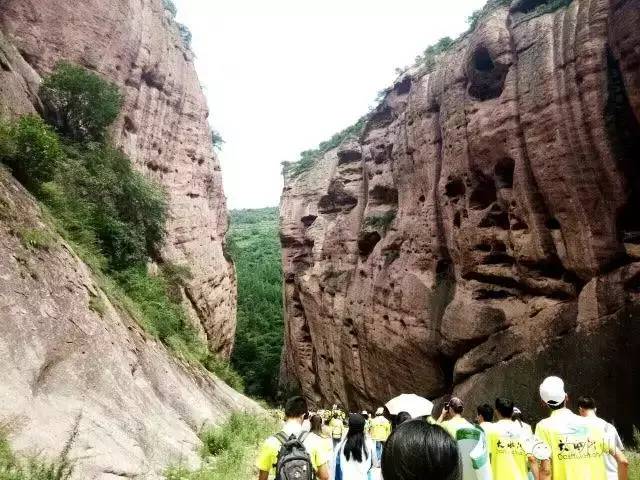 我的青春去旅游,我的青春我做主全集免费