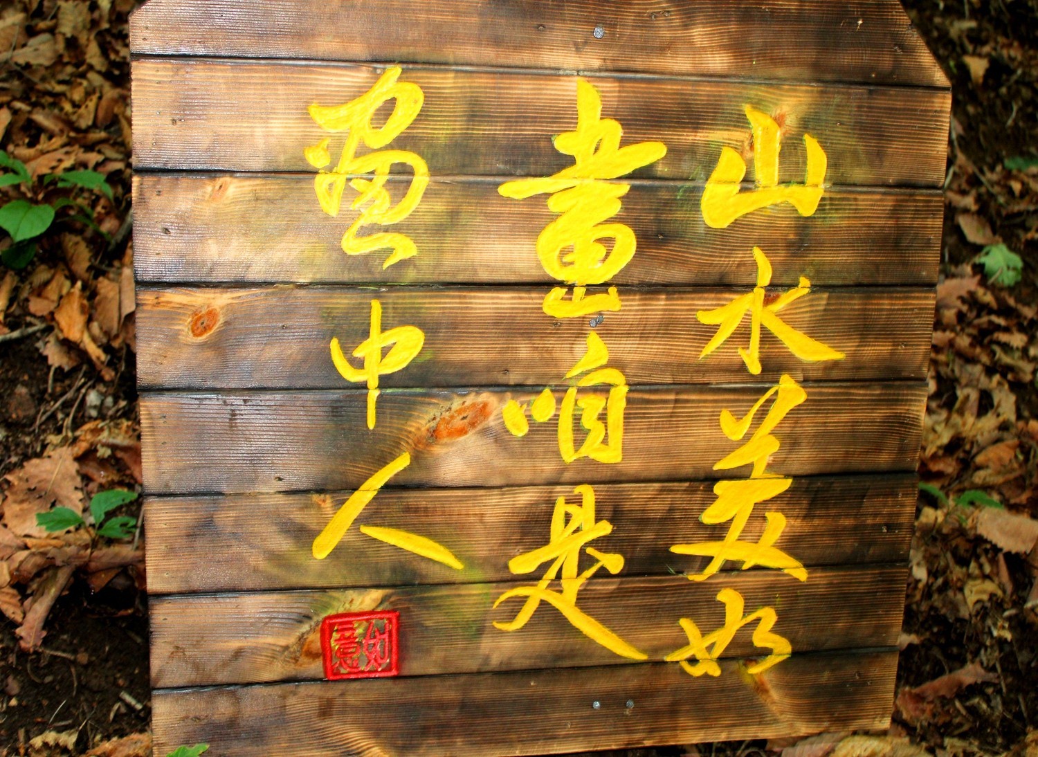 感受一份属于我的清凉——洛弛红Clorts户外溯溪鞋3H027D体验