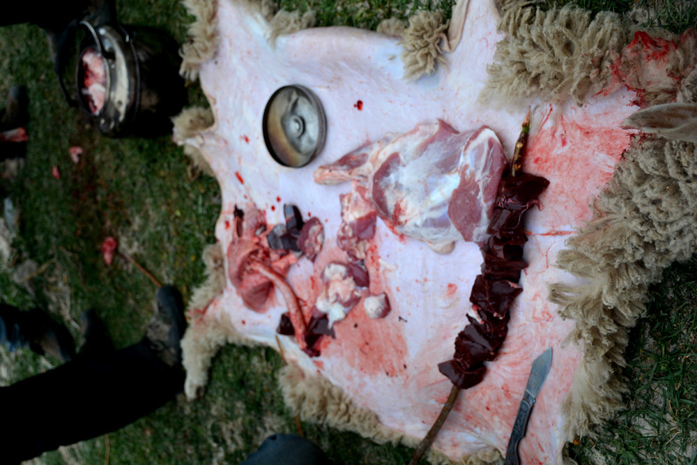 行者无疆-6月乌孙，漂洋过海为圣湖，翻山越岭因初心