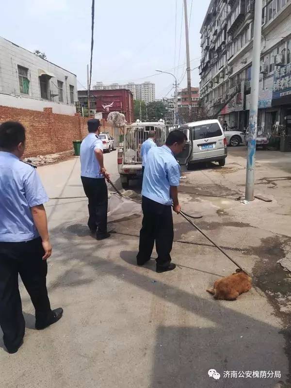 守护西部泉城槐荫基层警讯|第四期