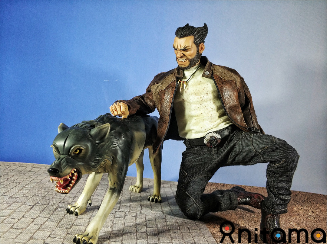 黑道金刚狼-黑帮王国1/6方块5幽灵狼套装测评