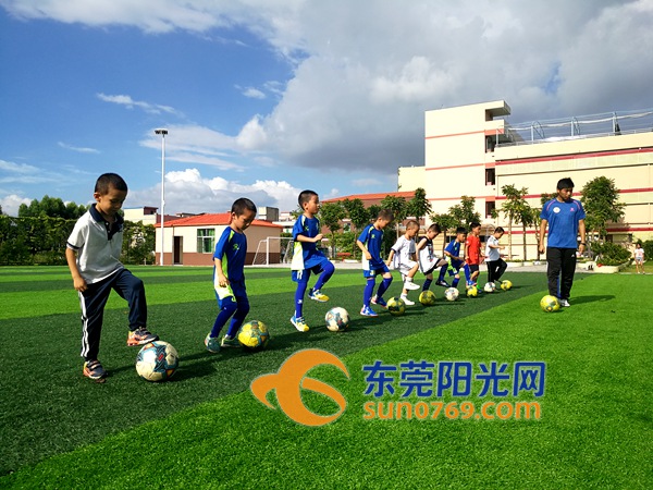 谢岗青少年篮球培训,谢岗足球班