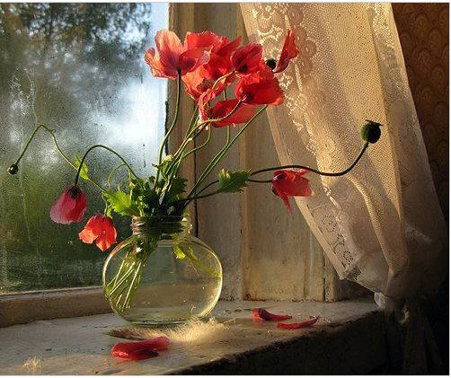 星座污谈：12星座最希望亲吻什么地方