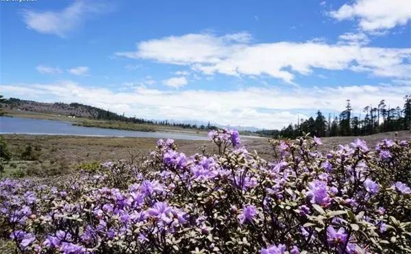 杭州直飞九寨黄龙机场,杭州直飞大理旅游