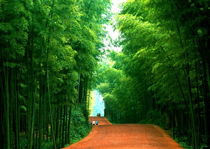 四川夏天最凉快的城市排行榜,四川最凉快的地方