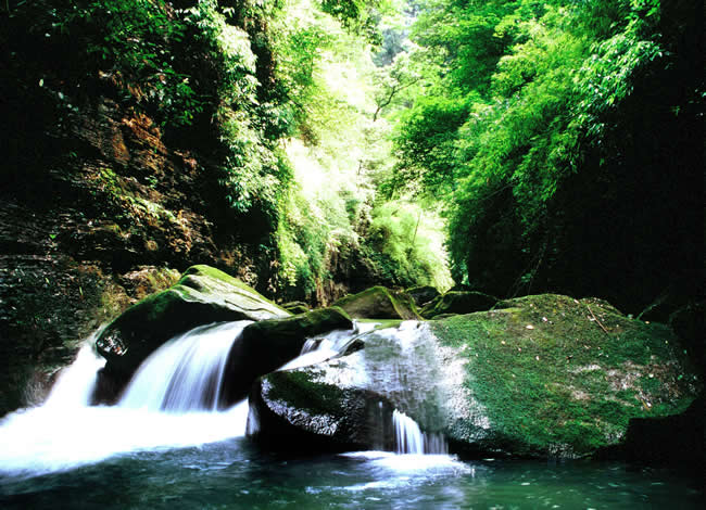 贵州值得一去的原生态村在哪里,贵州世界十大森林旅游胜地之一