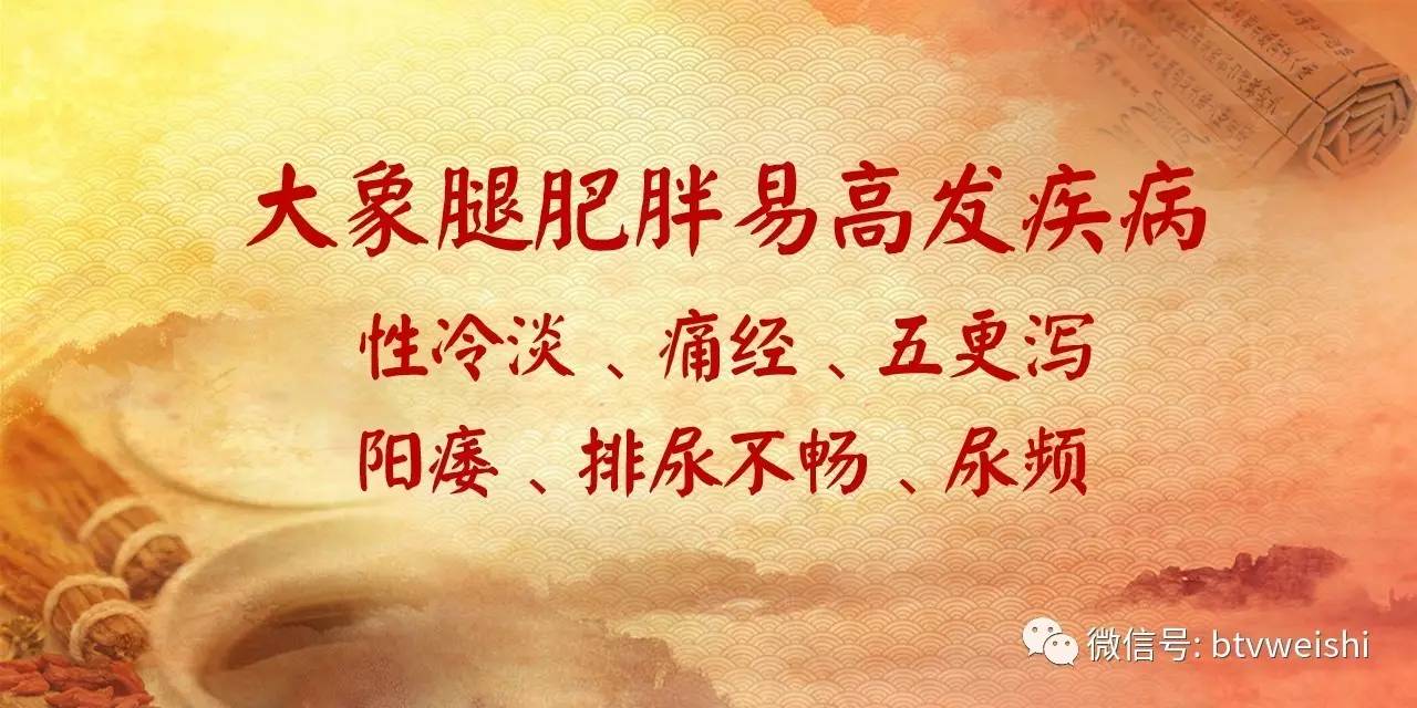 养生堂肥胖对健康的影响,养生堂肥胖背后的脏腑危机
