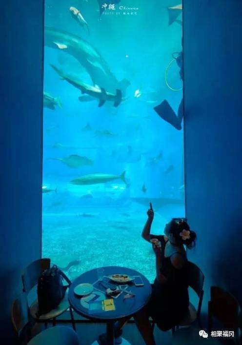 冲绳那霸旅游购物攻略,冲绳旅游攻略巴士路线