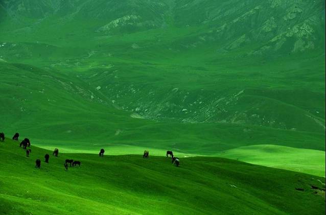 对不起，我去草原了，别再找我了……