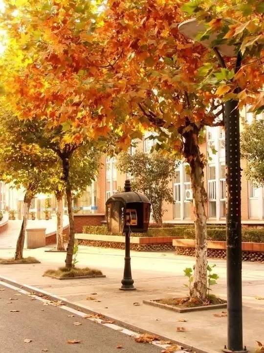 三江学院，小三本的奋斗传奇