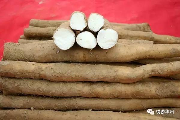 华州四张名片,华州区四张名片