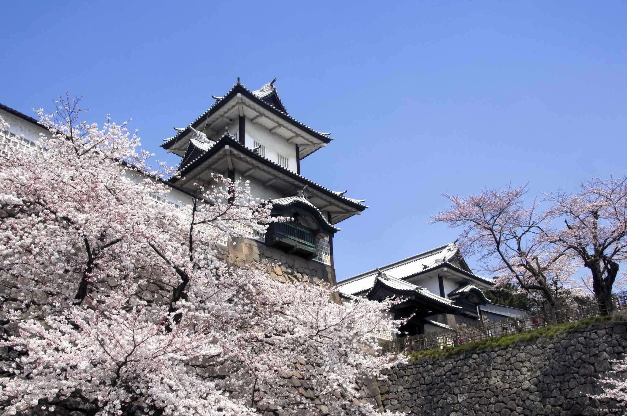 留学日本金泽大学,留学日本金泽大学怎么样